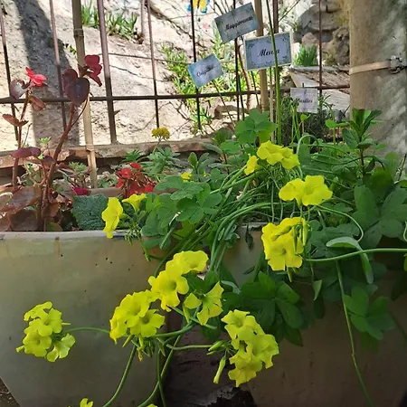 La Casa Di Cesi San Gemini